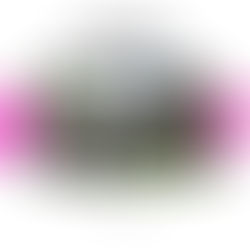 마실파크골프 부산오륙도점 오픈