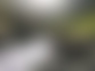 Ein Fluss mit größeren und kleineren Steinen, rechts und links flankiert von Felsbrocken. Im Hintergrund ist eine kleine grüne Brücke sowie Wiesen und Bäume zu sehen.