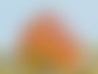 Ein einzelner Baum mit leuchtend rotem und orangem Herbstlaub steht aufrecht vor sanfter Landschaft