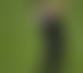 Celebrity Golfer visits Quesada! 2016