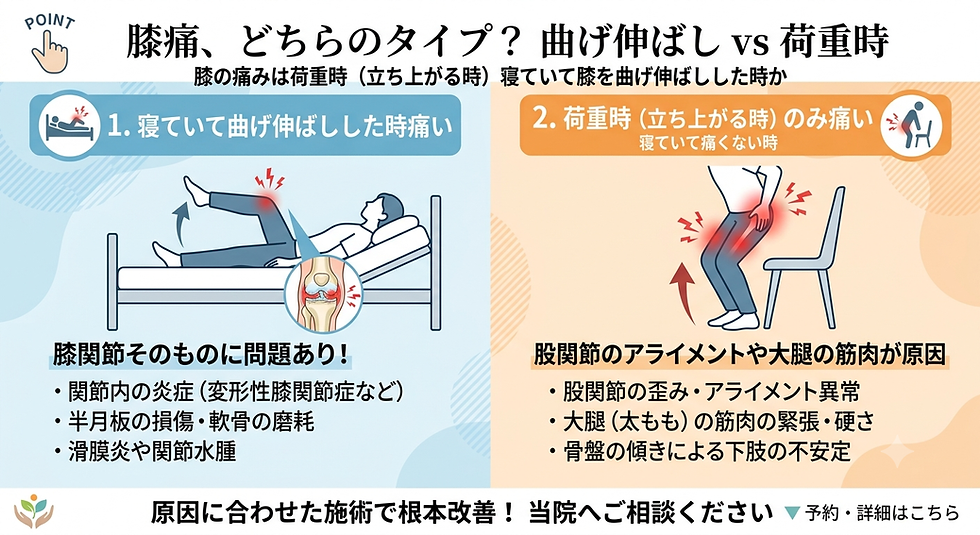 📌あなたの膝の痛みはどっち？「曲げ伸ばし」と「立ち上がる時」で違う原因