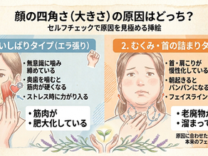 📌【顔が四角い・大きく見える…】原因は食いしばり?それとも首の詰まり(むくみ)?