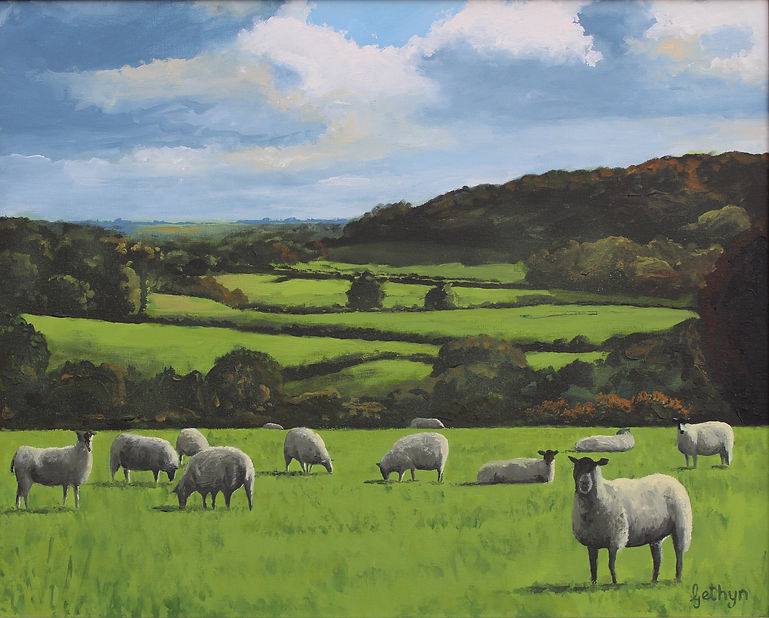 Wiltshire field of sheep landscape.