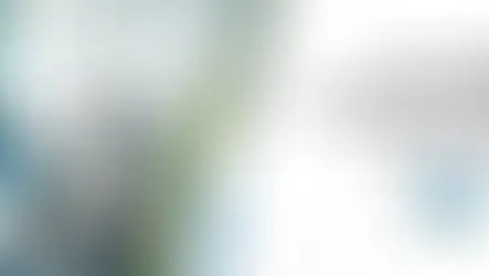 Creating Collaborative Cultures