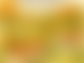 Un week-end festif au cœur de Bellême : entre sport, culture et nature