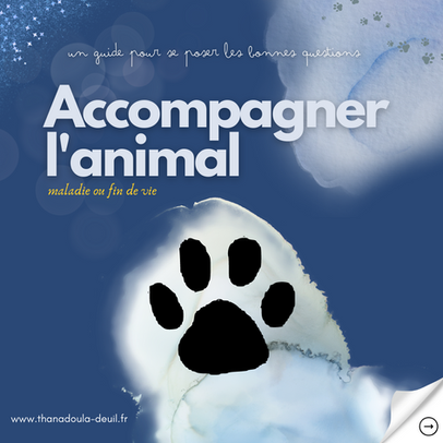 Accompagner mon animal ( Guide : la maladie & fin de vie)