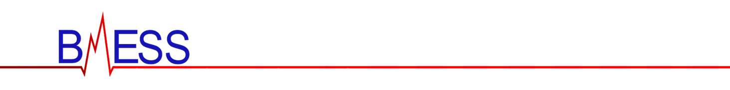 bmess logo (letterhead).png