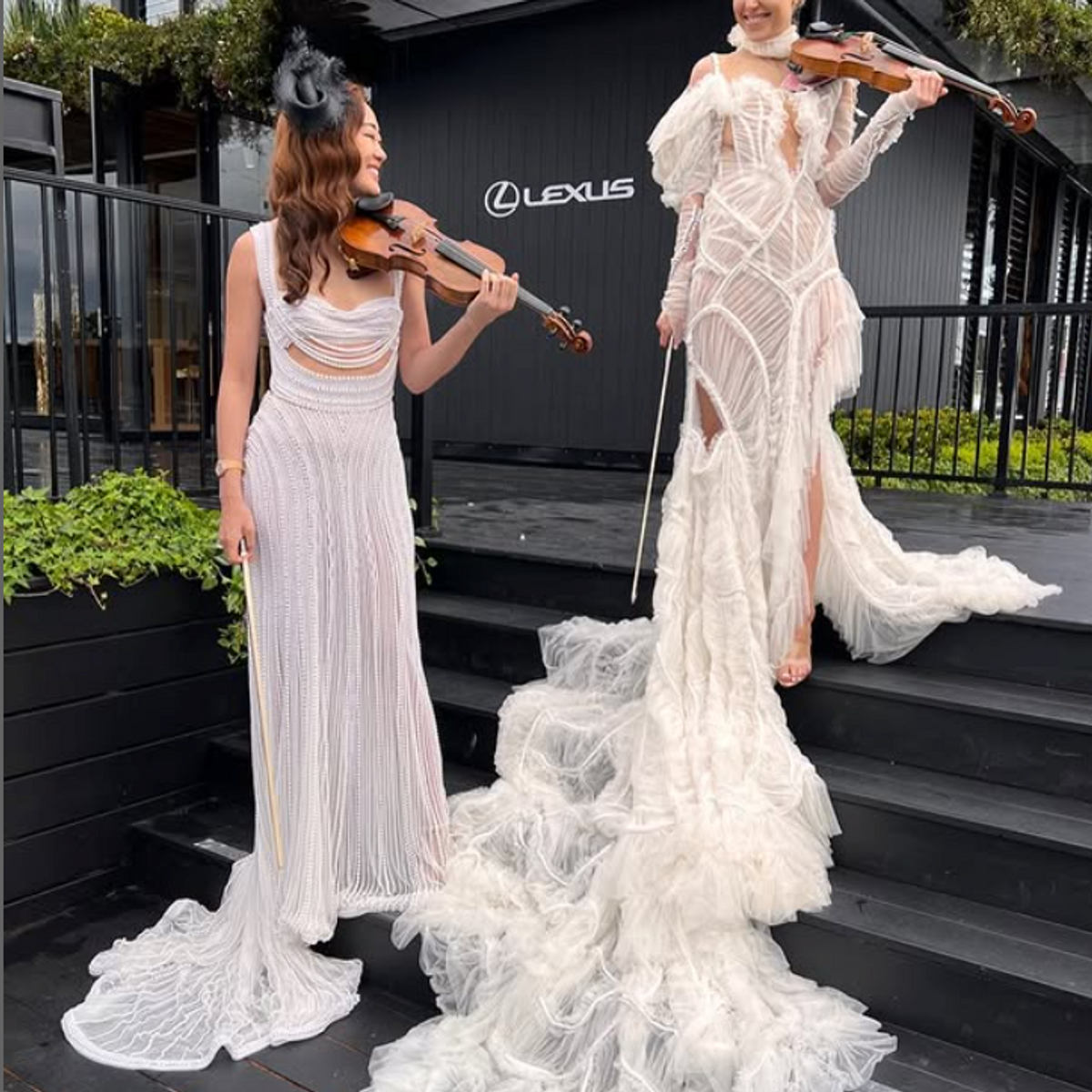 Luxe Strings photo 12