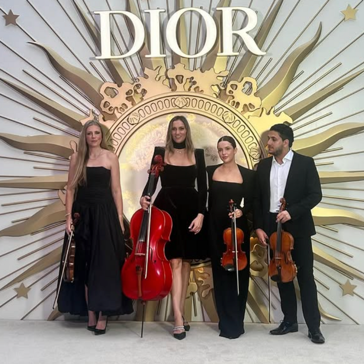 Luxe Strings photo 7