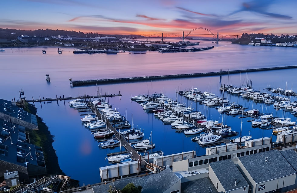 Drone shot of hotel and marina at sunset_cropped.jpg
