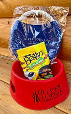 Pet food bowl