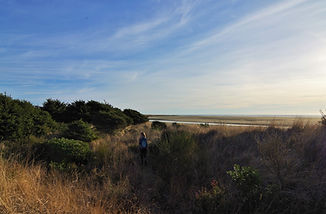 Griffiths-Priday State Park