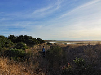 Griffiths-Priday State Park