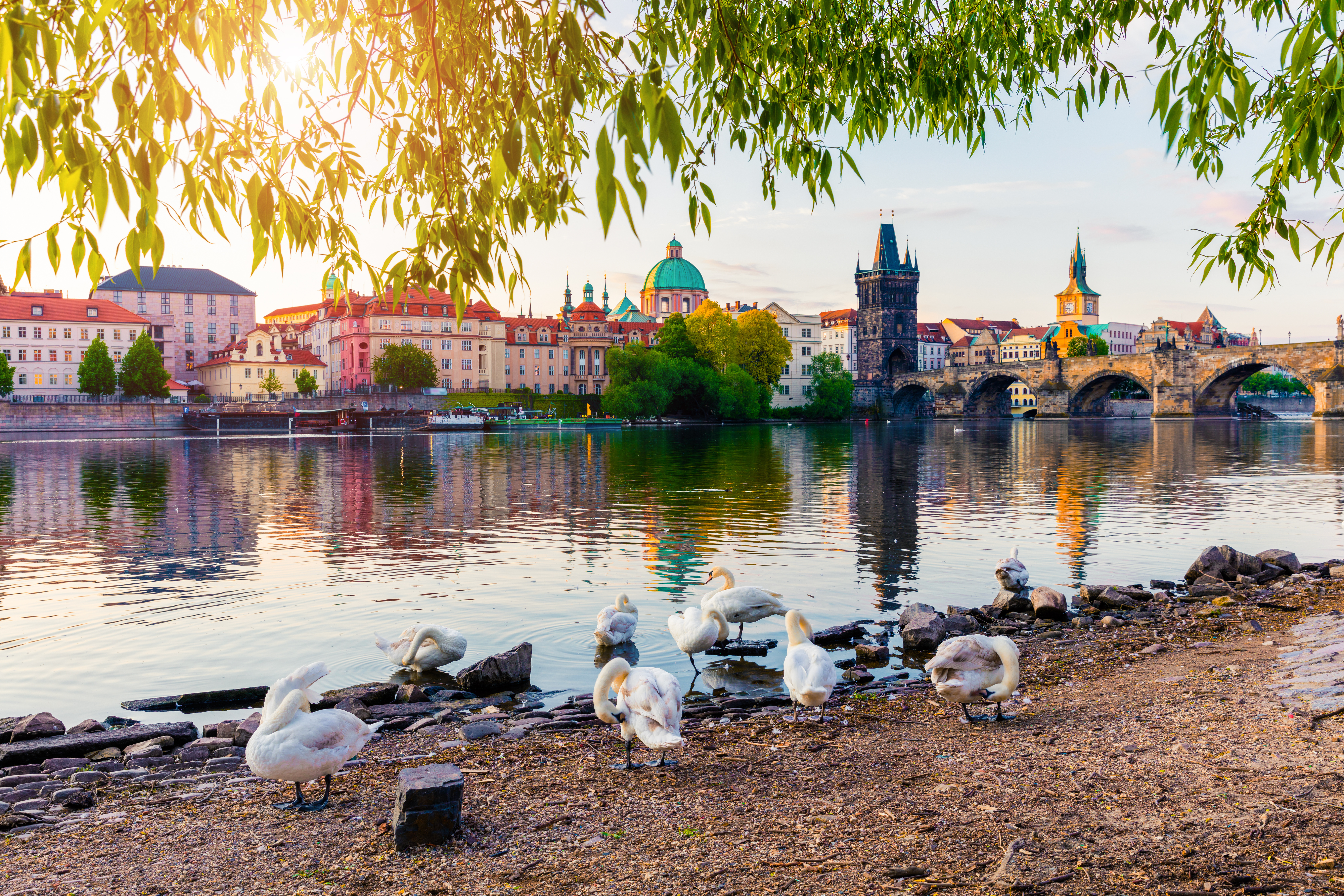 Prague: Traditionally Modern