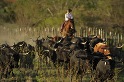 Helping Buyers and Sellers Love the Land Like He Does