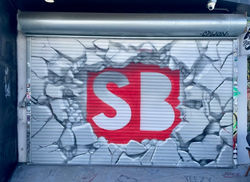 SB Sneakers