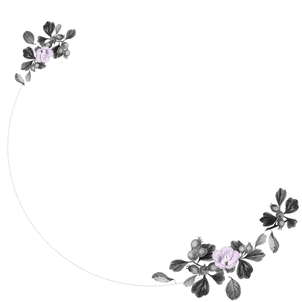 tradition_logo_new_white.png