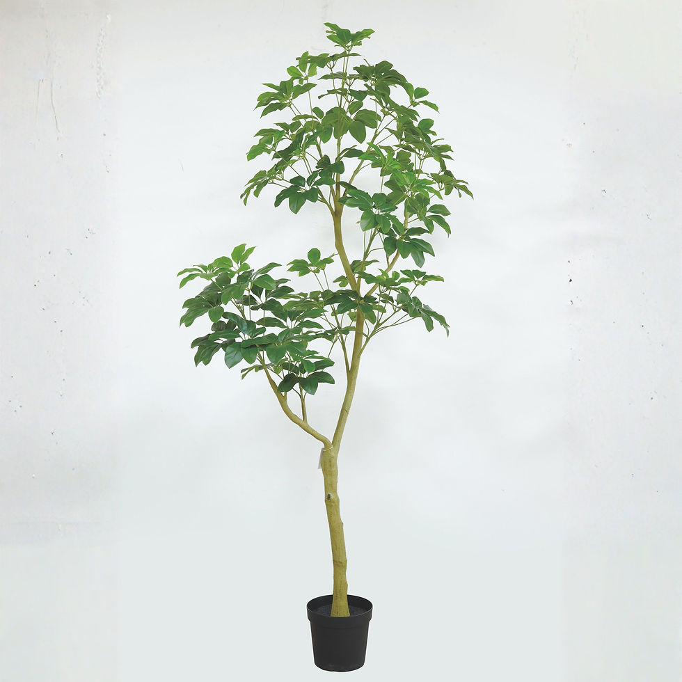 サムネイル： 210cm シェフレラポット  (XL) 組立式  Planeco  プラネコ  VR26019 G