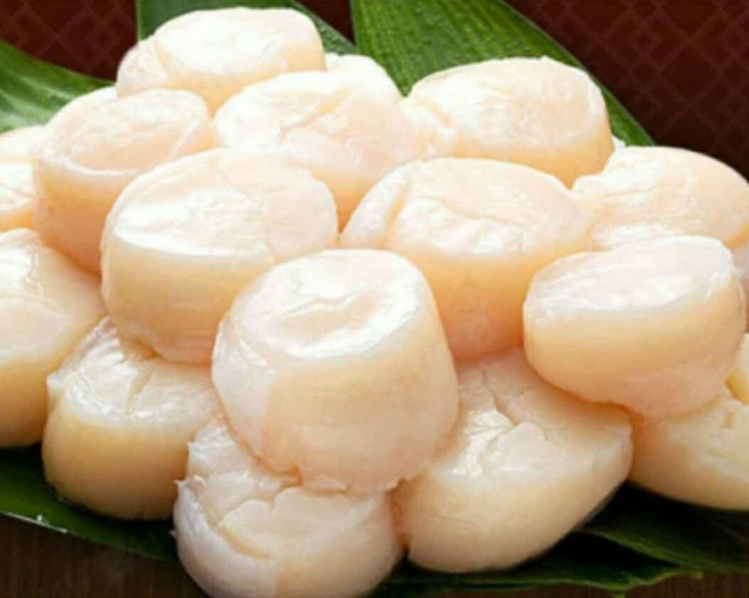 Japanese Scallops