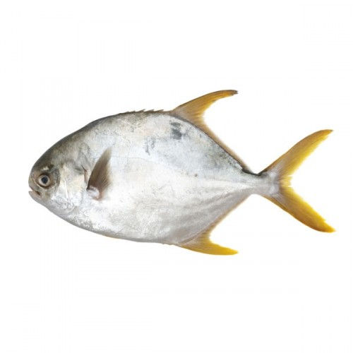 Thumbnail: Seafood Mix Pack B