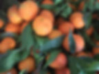 Mandarin
