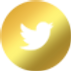 twitter-G