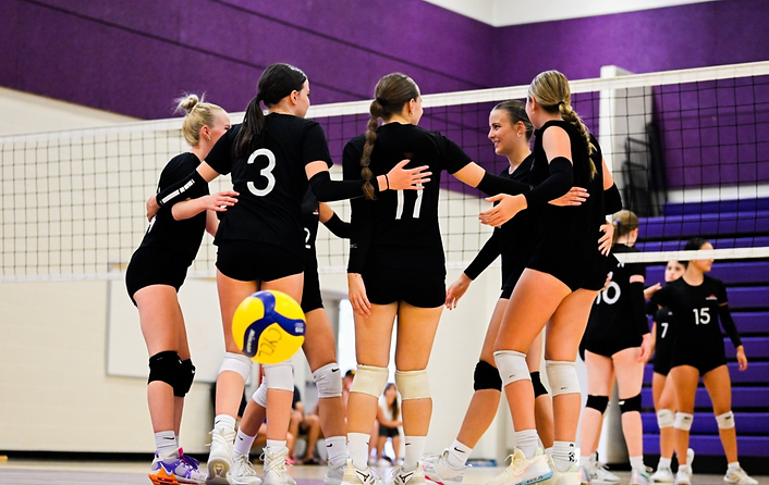 VolleyLink Recruiting process team picture