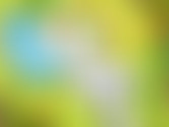 Landscape Design Blueprints