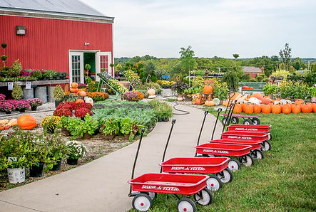 Fall festival at our garden nursery