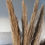 Thumbnail: 5pcs Arundo mix pampas grass