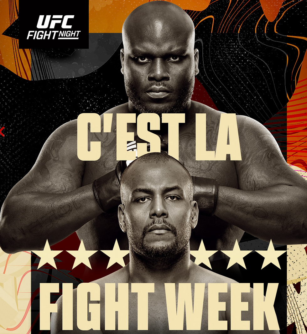 affiche ufc fight night lewis nascimento