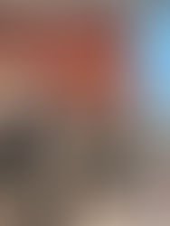 Matinal Society #10 at Poltrona Frau