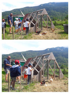 Animation au quartier des poules !!!