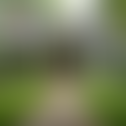 Navigating Michigan Real Estate: Strategies for Buyers