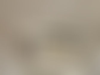 なぜ新築施設にカビが？定期報告で見直す建築士の画期的カビ対策