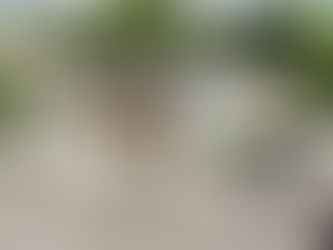 児童発達支援とは？障がい児の成長を支える施設開設と運営のポイント