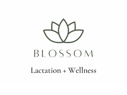 Blossom Lactation + Wellness
