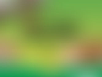 Bienal Internacional do Livro