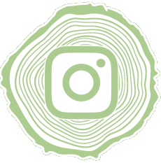 insta-icon