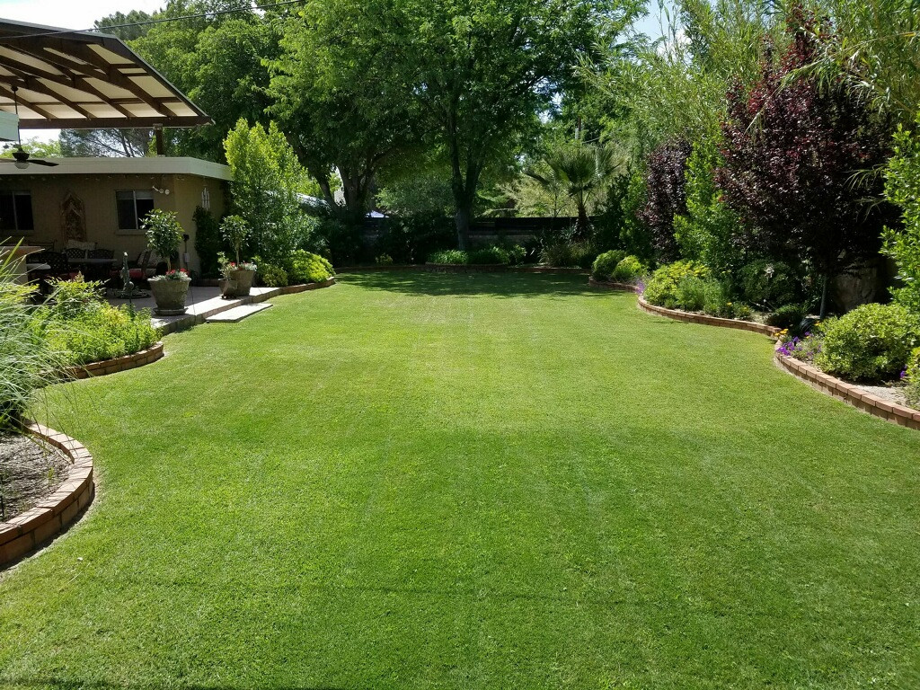 El Paso Pest Control and Lawn Care ProTech Pest and Lawn