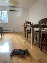 Mitsubishi Electric Wall Mounted Mini-Split Installed by Mr. Air NYC