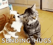 tenor_gif3317209899445804072.gif