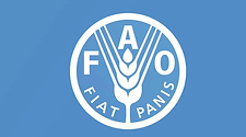 FAO-1גכגכגכ.png