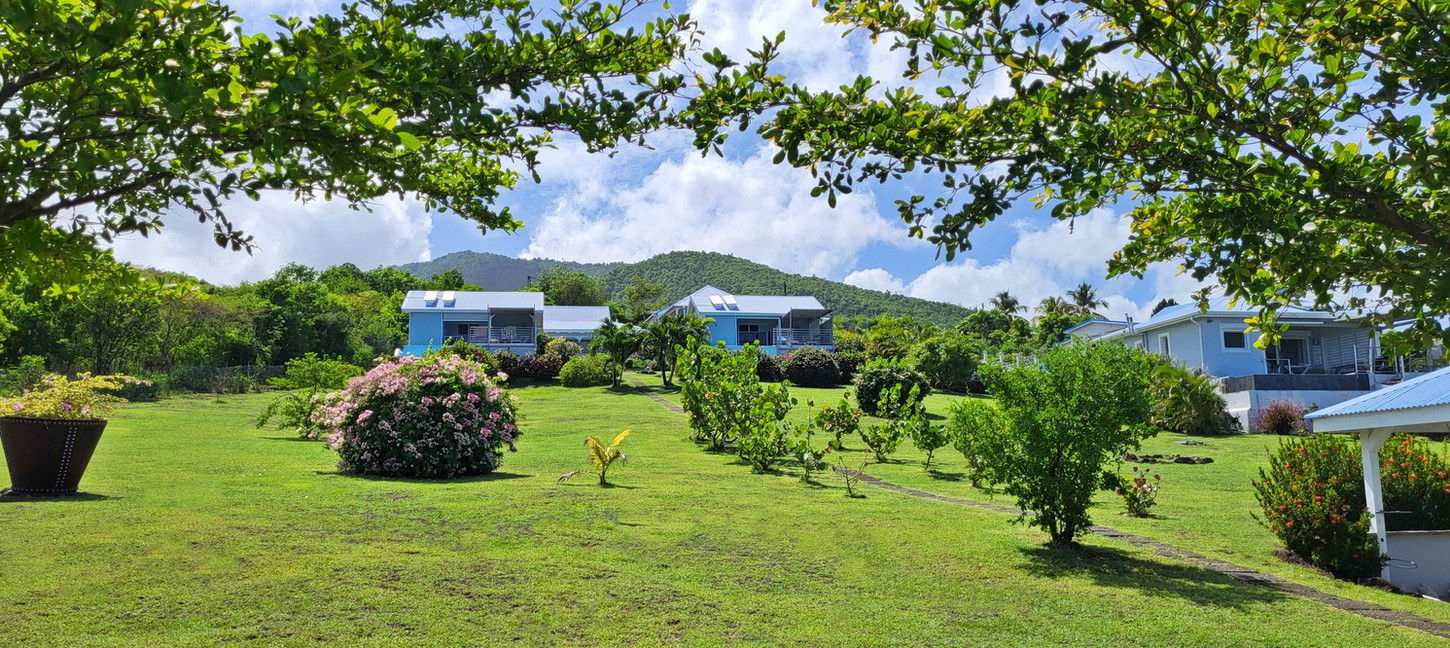 The most beautiful villas in Guadeloupe
