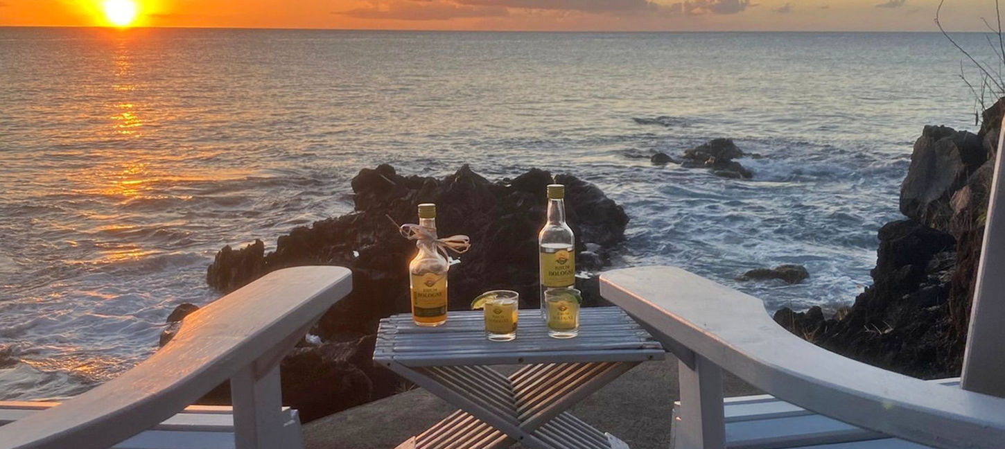 Plus belle villa de Guadeloupe. Vacances en bord de mer