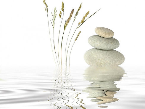 ambiance-zen-sur-fond-blanc_edited.jpg