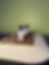 Thumbnail: Car Diffuser