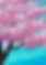 IMG_0731.png