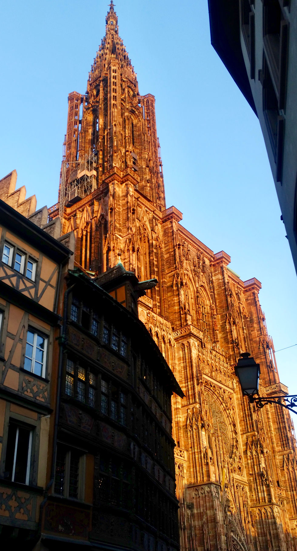 Cathédrale de Strasbourg et l'ombre de la Maison Kammerzell