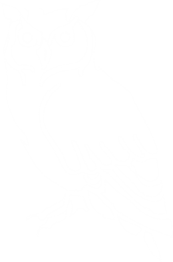 Translucent Owl_4x.png